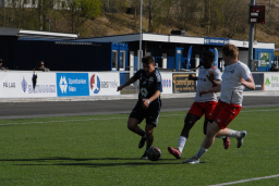 Varfjell - Kårvåg/Havørn 2025